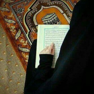 حنان محمود لاشين Telegram