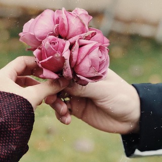 {اشعارمـنبـ❦ـع الاحـ❦ ـساس} Telegram