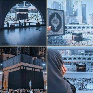 شهدياات♥️♥️? Telegram
