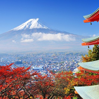 ?? Japan Today ??