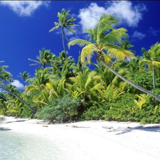 ??واحة المبدعين?? Telegram