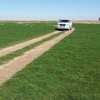 قناة عبد القادر الجنيد العلمية Telegram