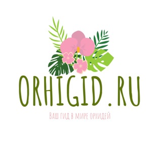 Orhigid.ru - Telegram Channel