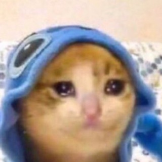 Reactions | بنك الرياكشن - الرياكشن