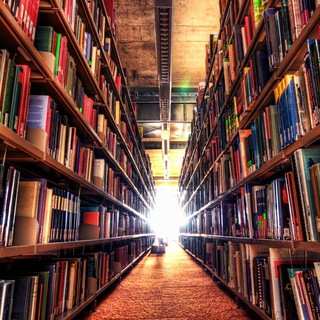 DailyBook
