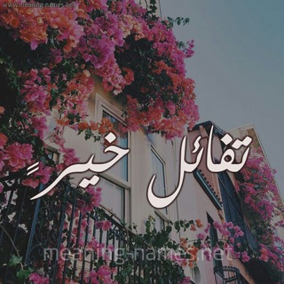 تّفُأِئلُ خيّرً ? Telegram
