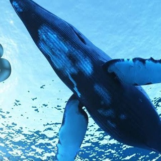 Crypto Trading Arab Telegram