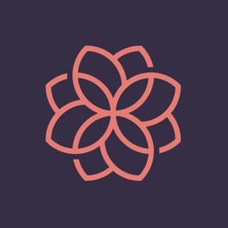 Rain Official Group منصة رين Telegram