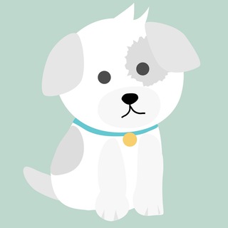 ? Ofertas para Mascotas: Transporte, alimentación, juguetes Telegram Channel