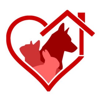 Mascotas Adopción Telegram Channel