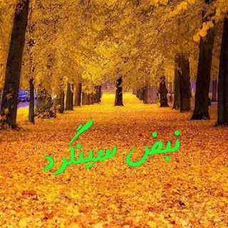 ♥♡نبـــض سیــنگـــرد♡♥ Telegram Channel