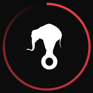 Animal Político Telegram Channel