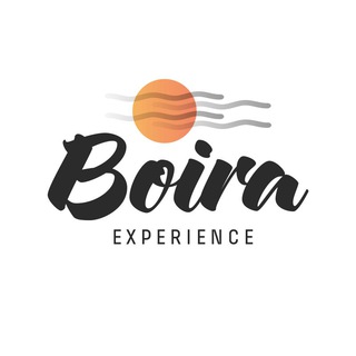 Boira Experience Telegram Channel