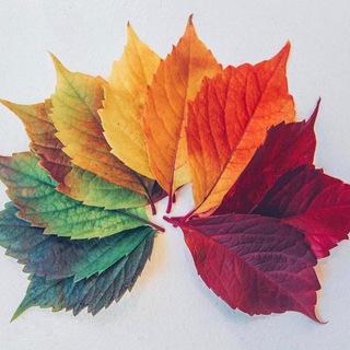 Inversión Conservadora Telegram Channel