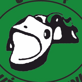 CEIP Marqués de Benicarló Telegram Channel