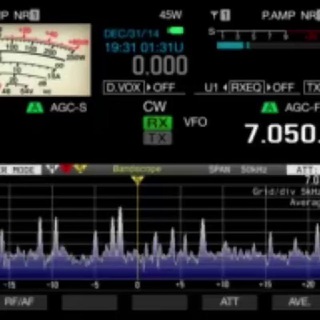 mercaradio Telegram Channel