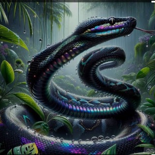 Python para Trading Telegram Channel
