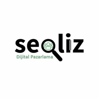 آنالیز سایت : سئولایز - seolize