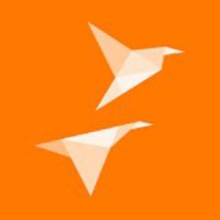 Crypto Birds Oficial (Español) Telegram Channel