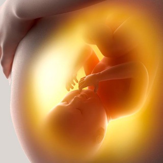 Embarazo, posparto y bebes Telegram Channel