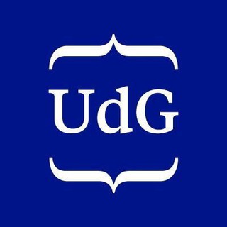 UdGinfoCOVID Telegram Channel