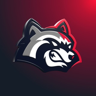 BetFury Official Channel Telegram Channel