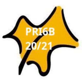 PRI6B 20/21 CEIP Botanic Calduch Telegram Channel