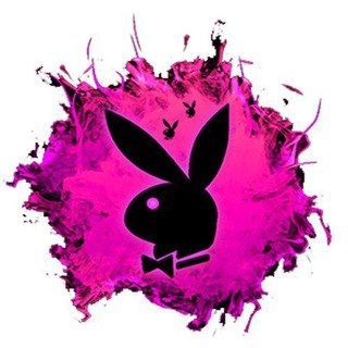 CoinaryTV Telegram Channel