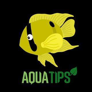 Grupo AquaTips Youtube Telegram Channel