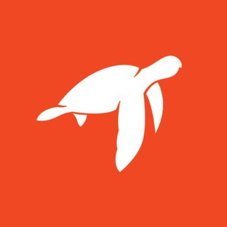Trabajos remotos ? Telegram Channel