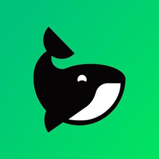 منصه سلايد slyde Telegram Channel