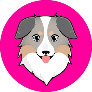 ? $ASS: Australian Safe Shepherd ? Telegram Channel