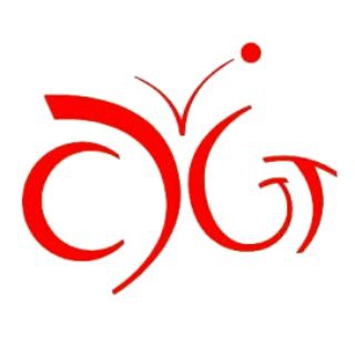 香港科技大學 資優教育發展中心 (CDGT)