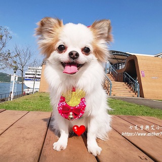 七先生與艾小姐