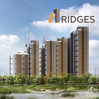 BISHAN RIDGES BTO NOV 2020