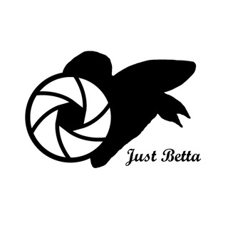 Just Betta Showroom
