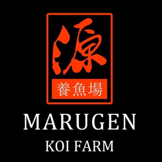 Marugen Koi Farm Singapore