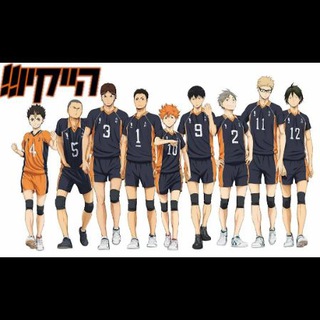 Haikyuu!! / !!הייקיו