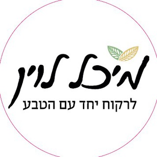 מיכל לוין
