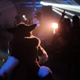 Furry Evenementen