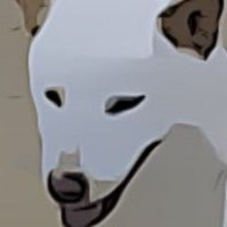 Jindoge token