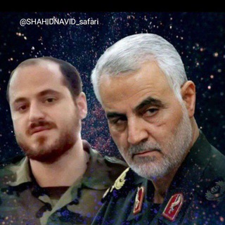 شهید نوید صفری