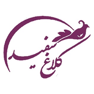 کلاغ سفید