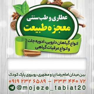 معجزه قرص ویتاگنوس