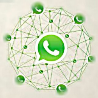 واتس ابن الحاج الاسود
