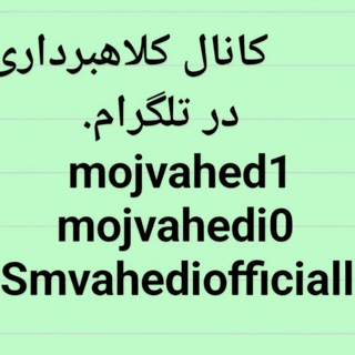 مجتبی واحدی
