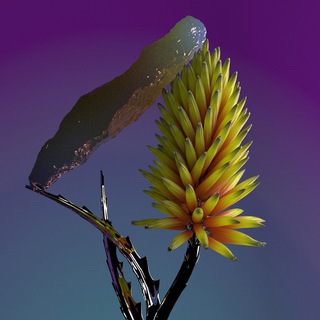 VEGETATION