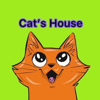 Cat's house
