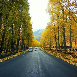 Tv series, Apps, Software and hacking info