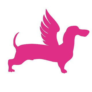 FlyDog SDR Project